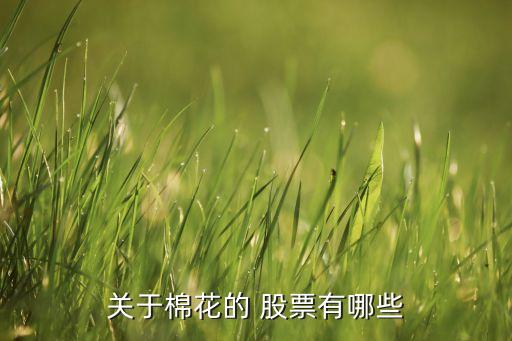 關于棉花的 股票有哪些