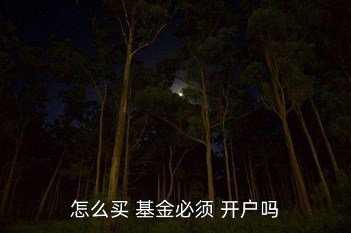 怎么買 基金必須 開(kāi)戶嗎