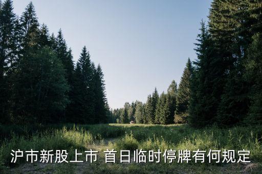 上海家化首日收盤(pán)價(jià)