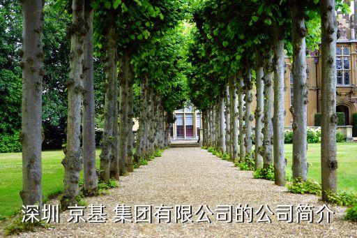 深圳 京基 集團(tuán)有限公司的公司簡介