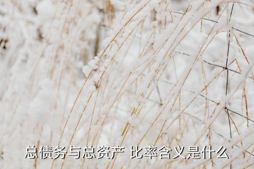 總債務與總資產 比率含義是什么