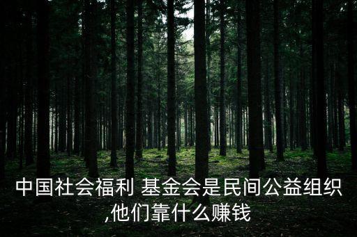 基金會(huì)如何盈利,老?；饡?huì)靠什么盈利