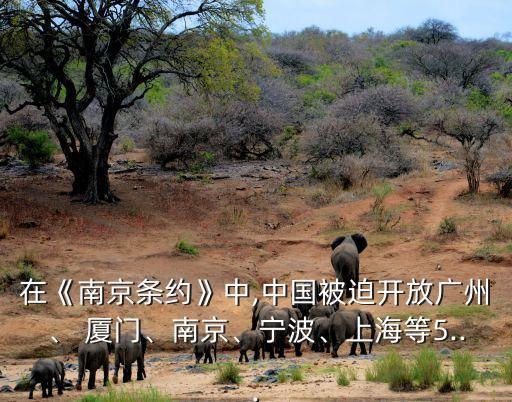 在《南京條約》中,中國被迫開放廣州、 廈門、南京、寧波、上海等5...