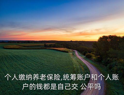 個(gè)人繳納養(yǎng)老保險(xiǎn),統(tǒng)籌賬戶和個(gè)人賬戶的錢都是自己交 公平嗎