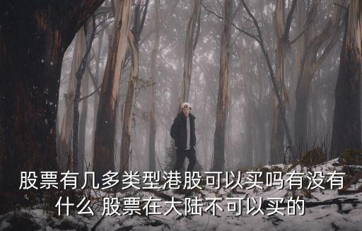 香港中國軟件國際股票,香港國際股票實(shí)時(shí)行情