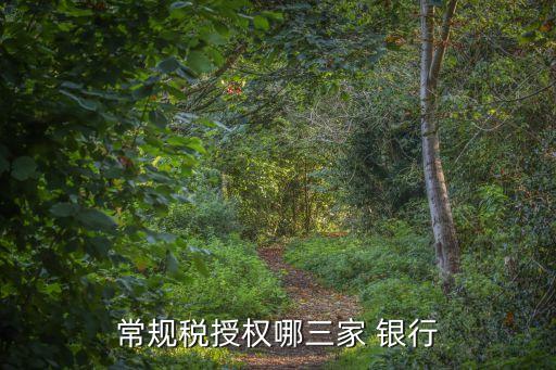 常規(guī)稅授權(quán)哪三家 銀行