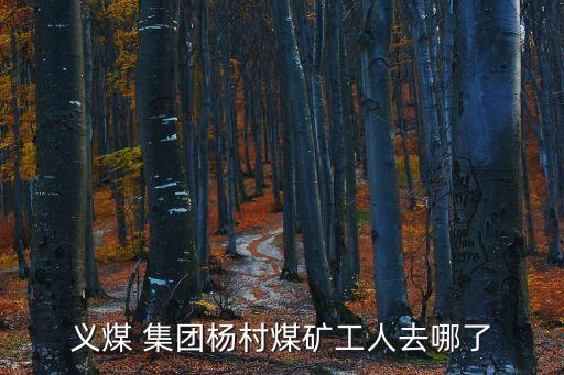 義煤 集團(tuán)楊村煤礦工人去哪了