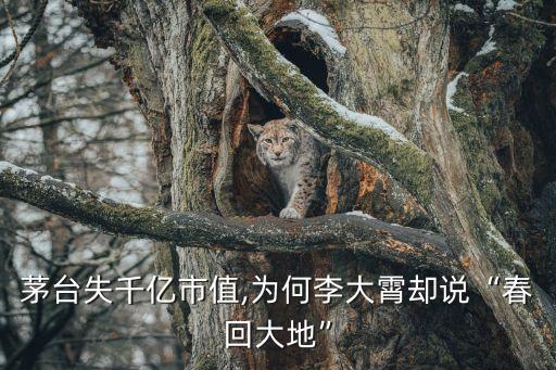 茅臺(tái)失千億市值,為何李大霄卻說“春回大地”