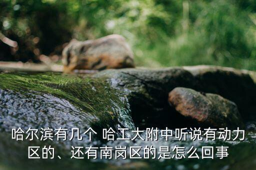 哈爾濱有幾個(gè) 哈工大附中聽說有動(dòng)力區(qū)的、還有南崗區(qū)的是怎么回事