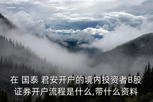 在 國(guó)泰 君安開(kāi)戶(hù)的境內(nèi)投資者B股證券開(kāi)戶(hù)流程是什么,帶什么資料