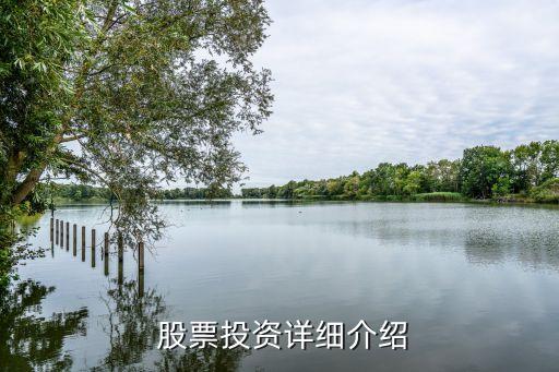 上?？萍脊善背杀?上海本地科技股票一覽表