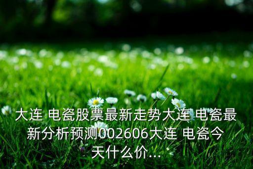 電瓷集團(tuán),大連開(kāi)發(fā)區(qū)電瓷集團(tuán)