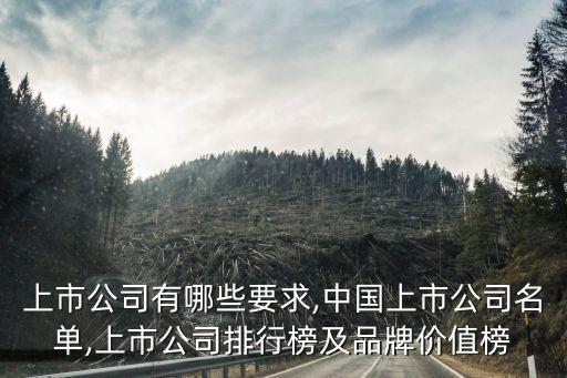 上市公司有哪些要求,中國上市公司名單,上市公司排行榜及品牌價值榜