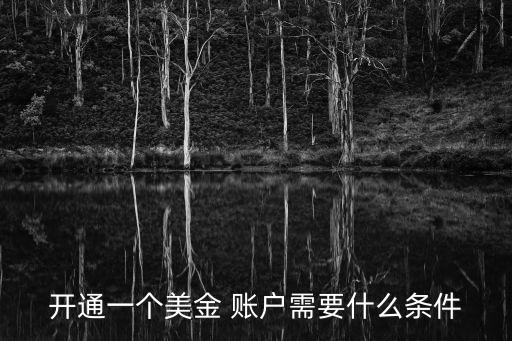 開(kāi)通一個(gè)美金 賬戶需要什么條件