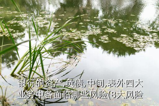  銀行的資產(chǎn),負債,中間,表外四大 業(yè)務(wù)中各面臨哪些風(fēng)險(8大風(fēng)險