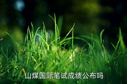 山煤國(guó)際能源集團(tuán)晉城有限公司
