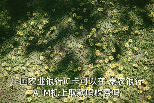 中國農(nóng)業(yè)銀行iC卡可以在 秦農(nóng)銀行ATM機(jī)上取款嗎收費嗎