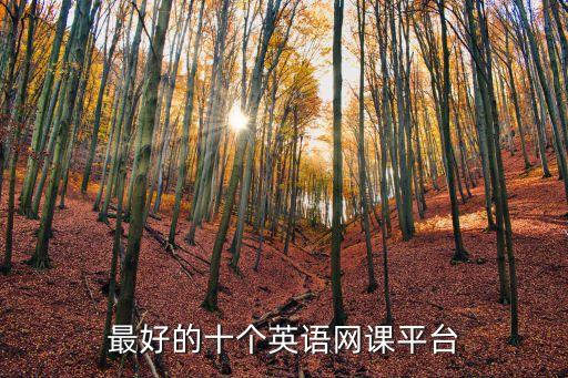 最好的十個(gè)英語網(wǎng)課平臺