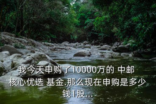 我今天申購(gòu)了10000萬的 中郵 核心優(yōu)選 基金.那么現(xiàn)在申購(gòu)是多少錢1股...