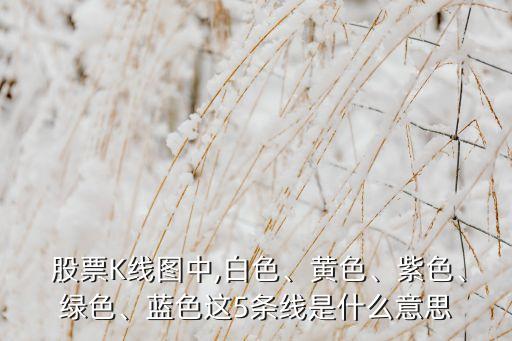  股票K線圖中,白色、黃色、紫色、綠色、藍色這5條線是什么意思