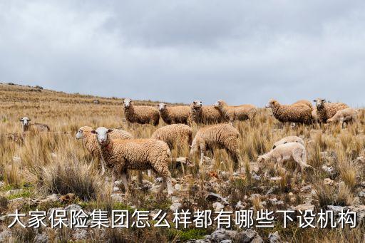 保險系基金公司