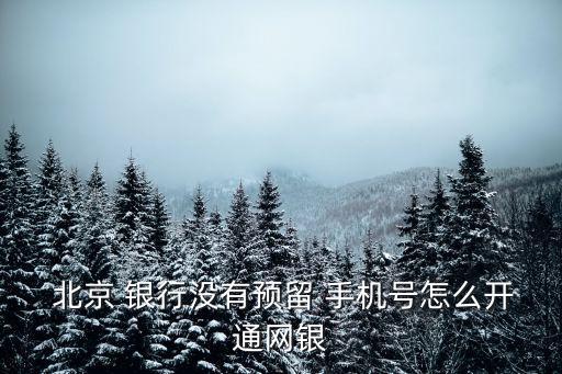  北京 銀行沒(méi)有預(yù)留 手機(jī)號(hào)怎么開(kāi)通網(wǎng)銀