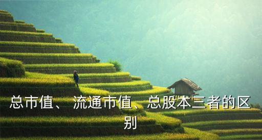 總市值、 流通市值、總股本三者的區(qū)別