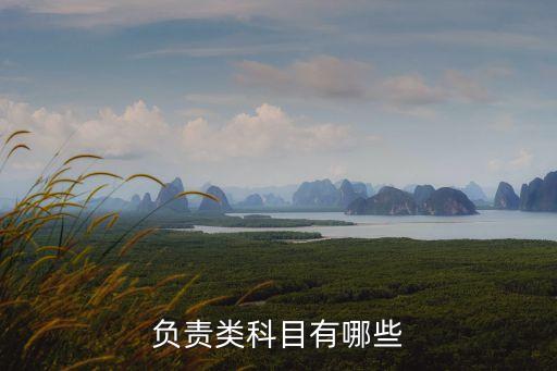 紅達公司遞延所得稅負(fù)債