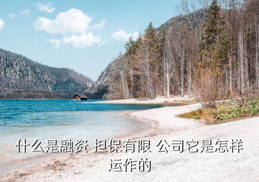 紹興縣擔保公司,擔保公司需要什么資質(zhì)
