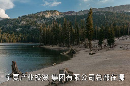 寧夏產(chǎn)業(yè)投資 集團有限公司總部在哪