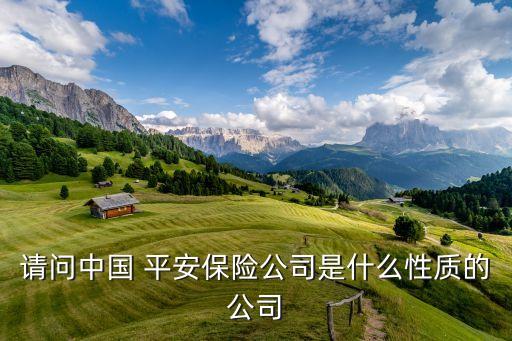 請(qǐng)問中國 平安保險(xiǎn)公司是什么性質(zhì)的公司
