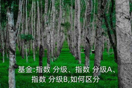  基金:指數(shù) 分級(jí)、指數(shù) 分級(jí)A、指數(shù) 分級(jí)B,如何區(qū)分
