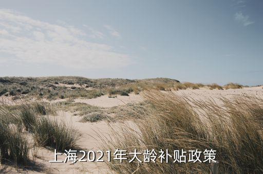 上?？的牮B(yǎng)老,康年養(yǎng)老服務(wù)有限公司