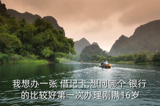 我想辦一張 借記卡,想問哪個 銀行的比較好第一次辦理剛滿16歲