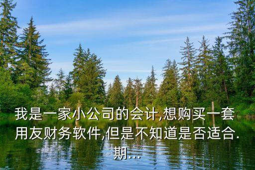我是一家小公司的會(huì)計(jì),想購(gòu)買一套 用友財(cái)務(wù)軟件,但是不知道是否適合.期...