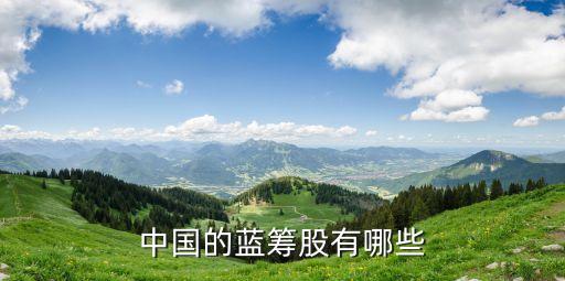 中國的藍籌股有哪些