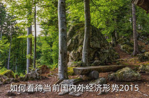 如何看待當(dāng)前國內(nèi)外經(jīng)濟(jì)形勢2015