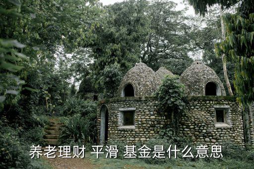 平滑基金的運作模式,政府引導基金運作模式