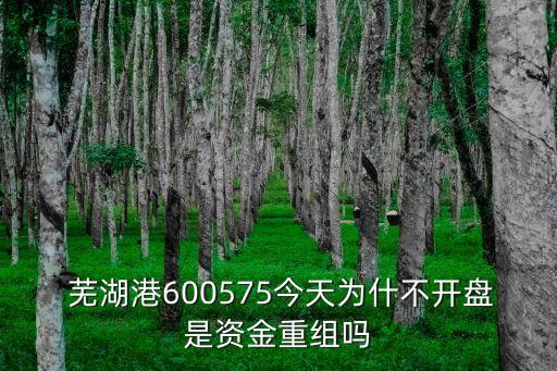 蕪湖港口有限責(zé)任公司,福建省港口集團有限責(zé)任公司