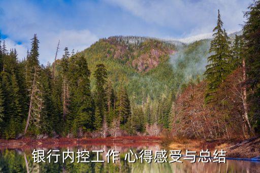 銀行內(nèi)控工作 心得感受與總結