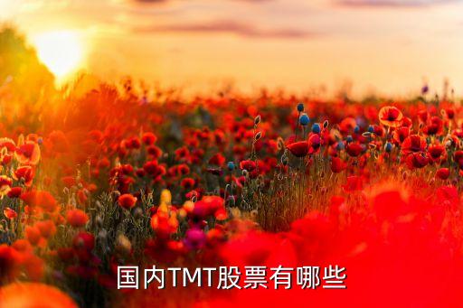 國內TMT股票有哪些
