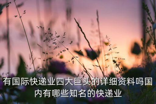 有國際快遞業(yè)四大巨頭的詳細資料嗎國內有哪些知名的快遞業(yè)