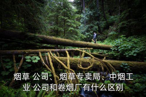  煙草 公司、 煙草專賣局、中煙工業(yè) 公司和卷煙廠有什么區(qū)別