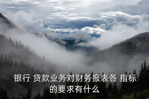  銀行 貸款業(yè)務(wù)對財(cái)務(wù)報(bào)表各 指標(biāo)的要求有什么
