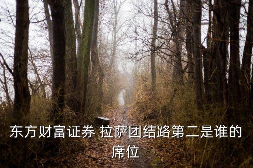 東方財(cái)富證券 拉薩團(tuán)結(jié)路第二是誰(shuí)的席位