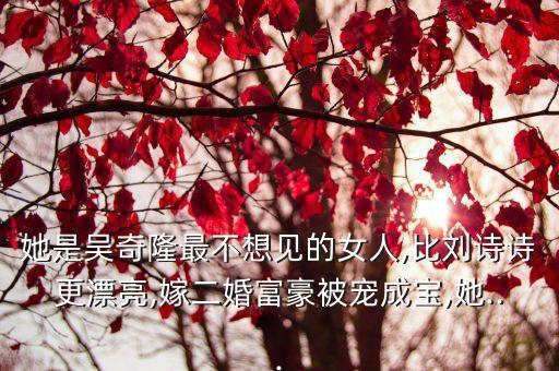 她是吳奇隆最不想見(jiàn)的女人,比劉詩(shī)詩(shī)更漂亮,嫁二婚富豪被寵成寶,她...