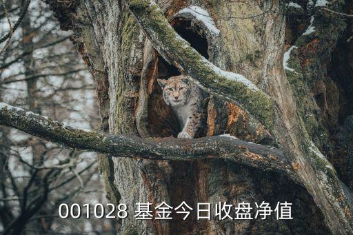 001028 基金今日收盤(pán)凈值