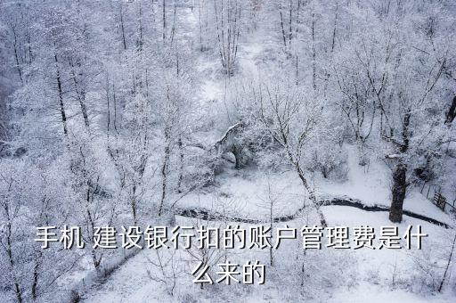 建設(shè)銀行手機銀行收費,中國建設(shè)手機銀行app下載安裝
