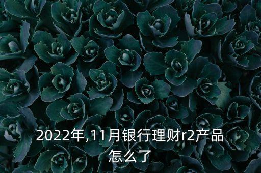 2022年,11月銀行理財r2產(chǎn)品怎么了