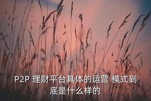 P2P 理財(cái)平臺(tái)具體的運(yùn)營 模式到底是什么樣的